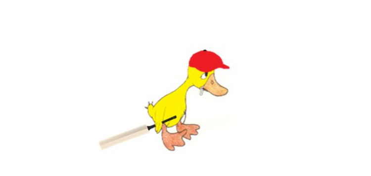 duck in cricket