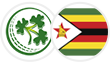 IRE vs ZIM 2025