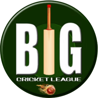 Big Cricket League